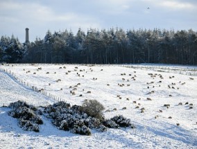 英国降雪地图显示，从纽卡斯尔到伦敦的英国人在几天内将面临7厘米的降雪